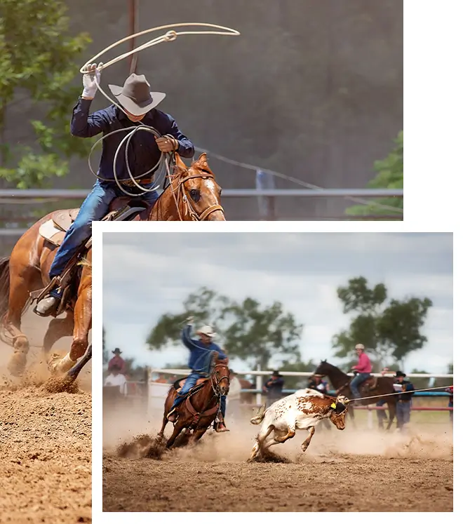 Team calf roping at a country rodeo.