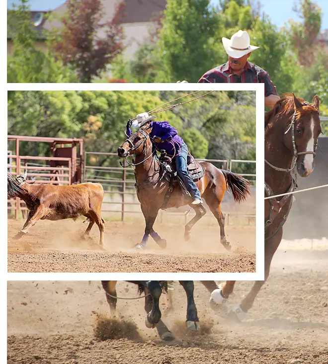 Team roping.